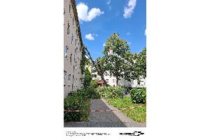 Einsatzkräfte entfernen einen absturzgefährdeten Baum.
