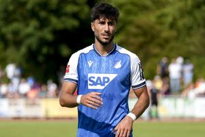 Wolfsburg holt Damar aus Hoffenheim