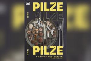 Mehr als Champignons: Drei kreative Pilzrezepte