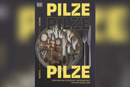 Mehr als Champignons: Drei kreative Pilzrezepte