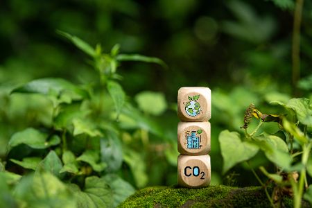 Kleine Holzwürfel mit Symbolen zum Klimaschutz in einem Wald