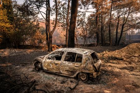 Die Waldbrände haben in Spanien große Verwüstung hinterlassen.
