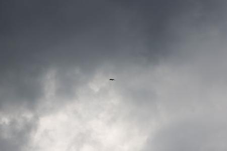 Der Südosten Brasiliens wurde vom Windsturm stark betroffen. (Symbolbild)