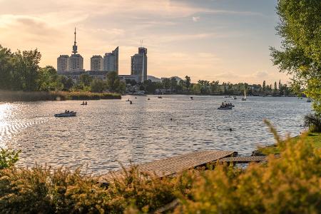 Zu viel Uriin in Wien: Bevölkerung soll sich nicht mehr in Alter Donau erleichtern