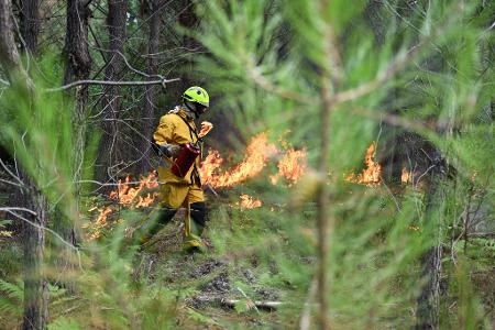 In der Waldbrandregion an der französischen Atlantikküste gibt es ein vorsichtiges Aufatmen für Einsatzkräfte und Bevölkerung.