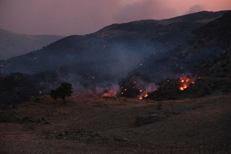Die Feuerwehr kann den Waldbränden auf Kreta kaum Herr werden.