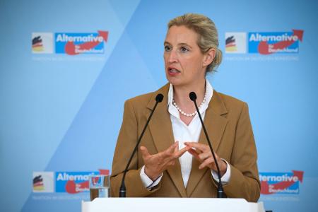 AfD-Chefin Weidel stellt das Schengen-Abkommen infrage. (Archivbild)