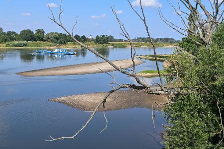 Eine Fähre quert die Elbe in Sachsen-Anhalt. (Archivbild)