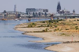 Blick auf Köln mit Sandbänken am Rhein.