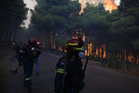 Aus der Luft gibt es wegen stürmischer Winde keine Hilfe - die Feuerwehrleute sind am Boden auf sich gestellt.