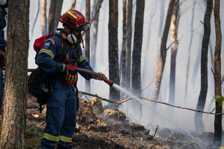 Hunderte Einsatzkräfte, darunter auch Feuerwehrleute aus Rumänien und Frankreich, kämpfen in der Nähe von Athen gegen einen Großbrand. 