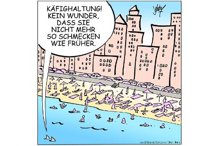 NEUEZEITEN