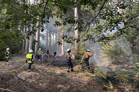 Foto Waldbrand bei Schwirzheim