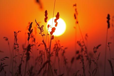 Bevor der Wetterumschwung kommt, soll es noch einmal heiß werden. 