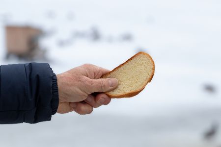 Hand hält ein Stück Brot in der Hand