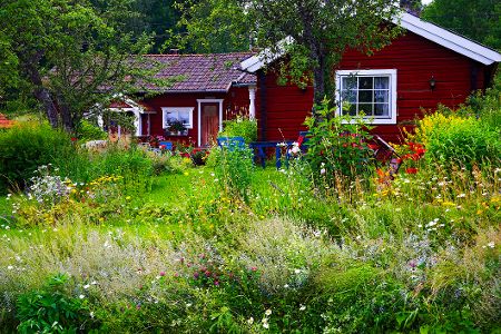 Heimischer Naturgarten