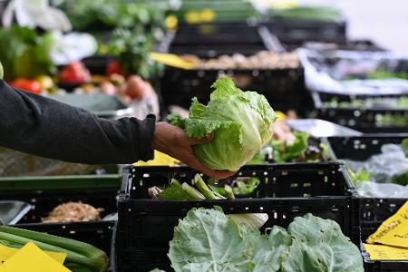 Behörden in den USA bringen einen Ausbruch in neun Bundesstaaten mit Eisbergsalat in Verbindung. (Symbolbild)