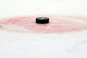 Eisbären verpflichten Nachwuchsnationalspieler Krestan