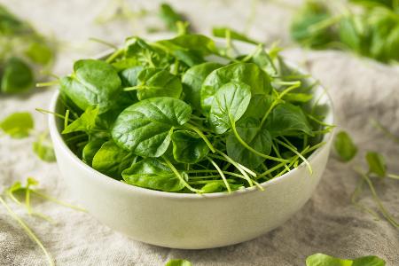 Superfood: Brunnenkresse
