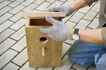 Mensch mit Handschuhen öffnet Nistkasten
