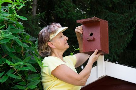Frau kontrolliert Nistkasten