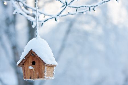 Mit Schnee bedeckter Nistkasten