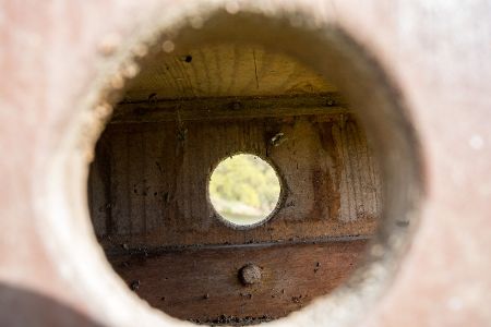 Blick durchs Einflugloch in einen Nistkasten
