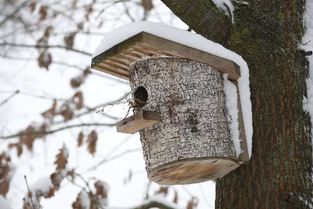 Nistkasten im Winter