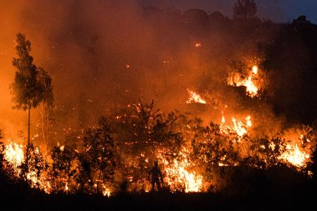 Die spanischen Behörden sind wegen der Waldbrandgefahr durch zehntausende Touristen in ländlichen Gebieten während der Sonnenfinsternis am kommenden Mittwoch in höchster Alarmbereitschaft. 