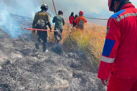 Dem Feuer sind schon 70 Hektar Land zum Opfer gefallen.
