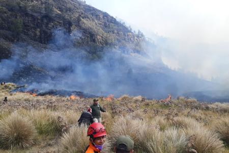 Waldbrände am Bromo sind in Dürrezeiten keine Seltenheit.