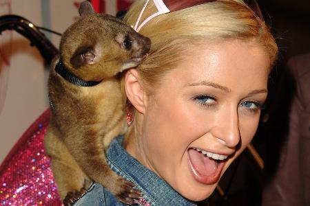 Paris Hilton und Wickelbär Baby Luv