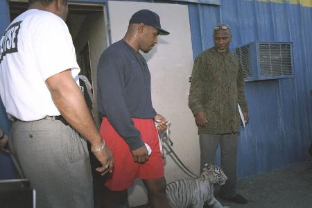 Mike Tyson und Tiger