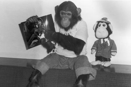 Michael Jackson und Schimpanse Bubbles