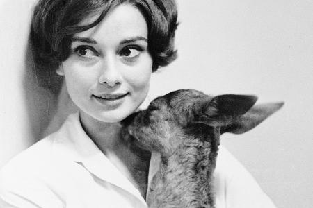 Audrey Hepburn und Rehkitz Pippin