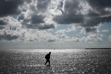 Tobias Goldschmidt (Bündnis 90/ Die Grünen), Umweltminister von Schleswig-Holstein, geht bei einer Wattwanderung der Nationalparkverwaltung von Dagebüll auf die Hallig Oland durch das auflaufende Wasser zurück nach Dagebüll.