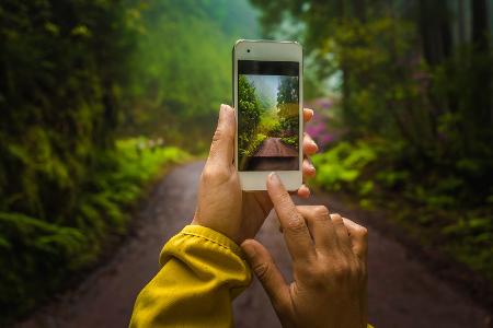 Kein Bildschirm im Wald