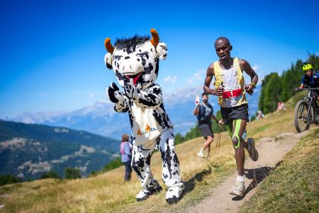 Philemon Ombogo Kiriago beim 53. Sierre-Zinal-Berglauf: Fan in Kuh-Kostüm sorgt für tierische Unterstützung