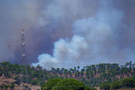 Spanien erlebt dieses Jahr eine besonders heftige Waldbrandsaison.