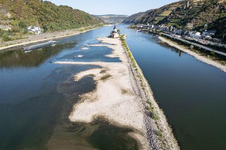 Extremes Niedrigwasser auf dem Rhein: An der Festung Pfalzgrafenstein ist der Grund des Flusses sichtbar 