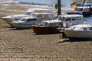 Die Wasserstände im Rhein sind wegen der anhaltenden Trockenheit stark gesunken. 