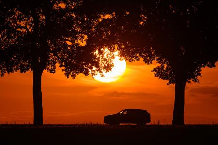 Ein Auto fährt im farbenprächtigen Sonnenuntergang über eine Allee bei Sieversdorf, im östlichen Brandenburg. 