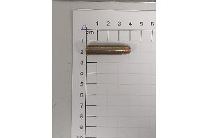 Pistolenpatrone 357 Magnum
