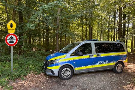 Nach dem Fund eines menschlichen Torsos sucht die Polizei rund um den Fundort in einem Waldstück nach Spuren.