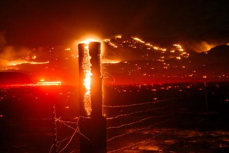 Zehntausende Hektar hat das Feuer zwischen Kalifornien und Nevada bereits erfasst. 