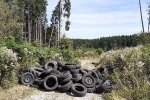 Die entsorgten Reifen auf dem Waldweg.