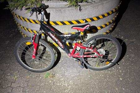 Fahrrad 1