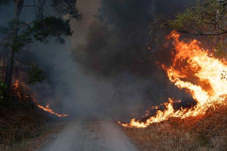 Die Ursache des Waldbrandes ist bislang nicht bekannt.