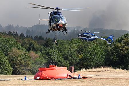Noch immer lodern die Flammen im Hürtgenwald.