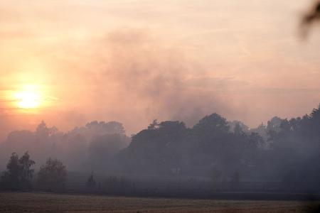 Die Einsatzkräfte bekämpften die Flammen in verschiedenen Gebieten gleichzeitig.
